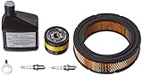 Briggs & Stratton 6036 Standby Generator Maintenance Kit, 15,000-20,000 Watt Empower Generators [並行輸
