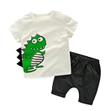 AiGo ベビー服 子供服 シャツ ショートパンツ 上下セット 恐竜模様 tシャツ パンツ キッズ ガールズ ボーイズ コットン カッコイイ かわいい 2色 [並行輸入品]