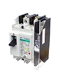 Fuji Electric(富士電機) 汎用品 一般配線用 漏電遮断器 ブレーカー EWシリーズ EW50AAG-2P020