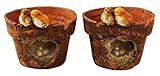 植木鉢 プランター ガーデニング フラワーポット 多肉植物 寄せ植え 鉢 おしゃれ 小鳥と巣２個セット