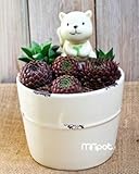 アンティーク風 おしゃれで かわいい りす付き フラワーポット 給水器付 陶器製 植物用 容器