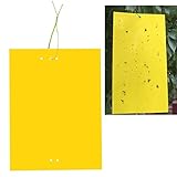 SYOOY 20個入り 菌類のような飛行植物の昆虫のための両面イエロースティッキートラップアブラムシ白フリンジの葉(ツイストネクタイが含まれています)15.2cm x 25.4cm