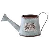 不二貿易 コルテ ジョウロ グリーン 31840