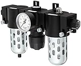 Dixon C16-04M Manual Drain Wilkerson Compact Combination Unit with Transparent Bowl and Guard, 1/2 S