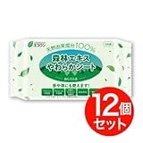 エコワン 天然由来成分100％ おしりふき 森林エキスやわらかシート 80枚入×12個（960枚）
