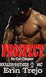 Prospect: Soulless Bastards MC (Soulless Bastards MC No Cal Book 4) (English Edition)