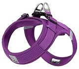 cocomall 喉に優しい犬ハーネス 2023最新 TRUE LOVE日本授権店 犬用ハーネス 犬用胴輪 ドッグ ペット用品 ハーネスリード 3M反射材料 訓練 ナイロン製 超型犬、小型犬、中型犬に向け 通気性 調節可能 夏に対応 (XXS, 紫色)