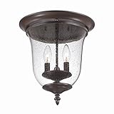 Acclaim 9305ABZ Belle Collection 2-Light Ceiling Mount Outdoor Light Fixture, Architectural Bronze b