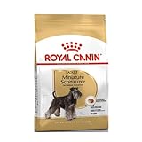 ロイヤルカナン BHN ミニチュアシュナウザー 成犬 高齢犬用 3kg
