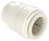 WattsP-870Quick Connect Cap-3/4"CTS Q/C CAP (並行輸入品)