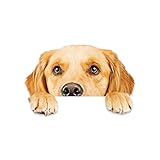 prendre カーステッカー 犬 猫 かわいい 動物 アニマル ドレスアップ 車 バイク カー用品 ステッカー (ゴールデンレトリバー) PR-PETST-GORU