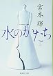 水のかたち 上 (集英社文庫)