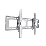 STARPLATINUM 55-102インチ対応 液晶テレビ壁掛け金具 TVセッターチルト GP101 Lサイズ シルバー 【液晶テレビ壁掛け】