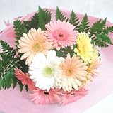 フラワーファームお誕生花 毎月変わるお誕生月の花