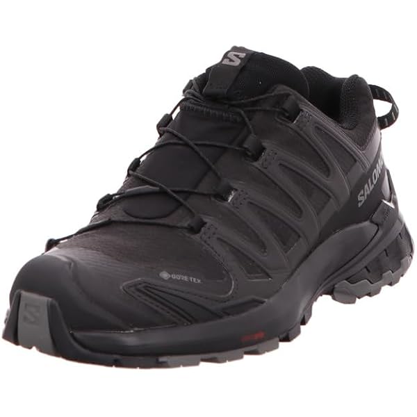 Amazon | SALOMON(サロモン) XA PRO 3D V9 GTX W L47271000 23.0