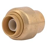 Cash AcmeU512LFASharkbite Brass Cap-3/8" CAP (並行輸入品)