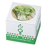 Euvo Design Potted Plant ルッコラ PP10869