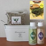 サボリの栽培セット/豊作セット（液体肥料付き）プランターホワイト仕様