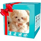 2025年 ロボット犬（大人用）、ロボット犬、スマートロボット犬、AIロボット犬、リアルなロボットAIペット犬、パーティー、誕生日プレゼント、インタラクティブエンターテイメント用