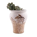 T4U 8.7CM 楓の葉 多肉植物、サボテン鉢 フラワーポット プランター容器 ベージュ色