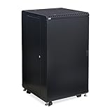 22U LINIER Server Cabinet - Solid/Solid Doors - 24" Depth [並行輸入品]