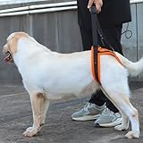 [GIIPET]犬用介護ハーネス 後足用 犬 歩行補助ハーネス 介護 老犬 ハーネス 後ろ足 犬ハーネス 散歩 歩行サポート 犬用介護ハーネス 犬用ハーネス 歩行補助 保護犬 関節 サポート 調節可能 通気性 安定性 簡単着脱 犬ハーネス 欠陥犬 散歩用 登山用 車や階段を乗る補助 小型犬 中型犬 大型犬 夏に最適