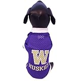 NCAA Washington Huskiesアスレチックメッシュ犬ジャージー マルチカラー