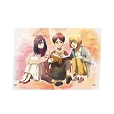 一番くじ 進撃.の巨人～地鳴らし～ D賞 アクリルボード～壁の外の世界～