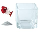 花市場直送便 ミニチュアガラス 魚の骨 & カラーサンド シルバー & 植え込み用グラス ニューブロックS