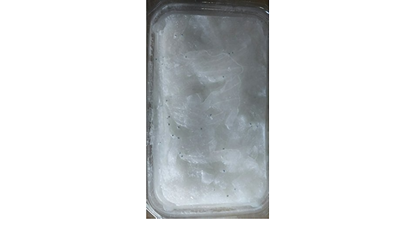 Amazon 刺身用 生冷凍のれそれ 穴子の稚魚 0ｇ 5ｐ ｐ1580円 業務用 Yayoi Good Food 鮮魚 通販