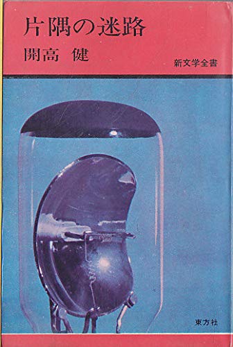 片隅の迷路 (1968年) (新文学全書)