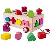 (ローゼンイン) RODEA IN絶妙な16穴インテリジェンスボックス 異なる形状分類ブロック 早期教育玩具 赤ちゃん/子供用