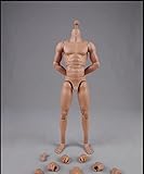 おもちゃ ホビー [TOYBARJAPAN] 1/6 アクションフィギュア COOMODEL COO BD001/02/03/04/07/08/09/10 男性素体 アクションボディ (高い身長筋肉体型BD004)