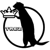 14色 フェレット名 入り ステッカー【名入れ ネーム FERRET カーサイン カーステッカー フェレット ふぇれっと TREZ】 (ブラック)