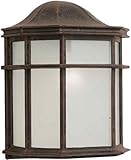 Forte Lighting 1719-01-28 Exterior Wall Light with White Acrylic Panel Shades, Painted Rust [並行輸入品]