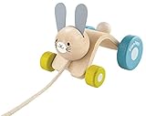PLANTOYS 5701 ホッピングラビット