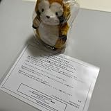 あらいぐまラスカル セキグチ あいおい生命 限定ぬいぐるみ