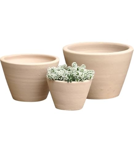 Amazon.co.jp: イタリア製テラコッタ鉢 ローマンプランターA 32cm