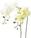 asca 造花 コチョウラン S ホワイト A-31257-001