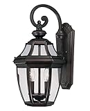 Savoy House Lighting 5-493-ES-13 Endorado Collection 2-Light Outdoor Energy Star Wall Mount Lantern,