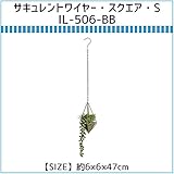 アビテ(Habiter) サキュレントワイヤー・スクエア・S IL-506-BB