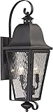 Elk Lighting 47101/2 Forged Brookridge Collection 2 Light Outdoor Sconce, Charcoal [並行輸入品]
