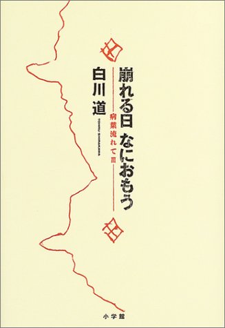 白川道:崩れる日 なにおもう―病葉流れて〈3〉