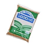 お買い得セット シロクローバ(シロツメクサ) の種子 500g お買い得40袋入 家庭菜園
