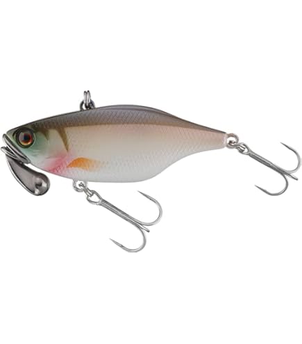 Amazon.co.jp: JACKALL(ジャッカル) TN80 PSマルーンギル : スポーツ