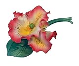 Orchid on Branch赤と黄色