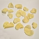 ハートリーフ　白　約15枚入り 葉 ドライ ドライフラワー 花材 リーフ ハーバリウム