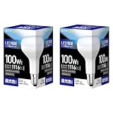 スタイルド LED電球 2個セット E26 昼光色 100W形相当 レフ電球形 密閉器具対応 HDR9E26D2