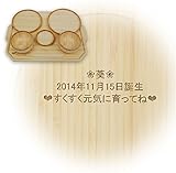 [オーダーメイド名入れ] アグニー お食い初めトレーセット モダン 天然素材 バンブー ベビー食器 子ども用食器 食育