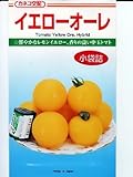 イエローオーレ　カネコ種苗の中玉トマト種です